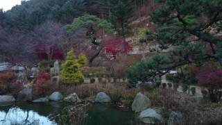 韓國 春川 晨靜樹木園