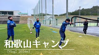 【Vlog】8日間の和歌山キャンプ2024#3