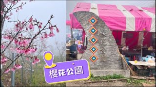 【高雄景點】寶山二集團櫻花公園｜38甲櫻花公園｜5000多株櫻花｜免費入園參觀