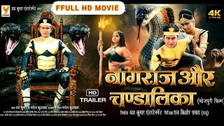 NAAGRAJ AUR CHANDALIKA I FULL HD MOVIE L नागराज और चण्डालिका l #Yash Kumarr l New Bhojpuri Film 2024