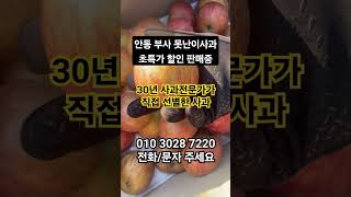 안동 부사 못난이사과 초특가 할인 판매중