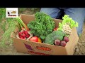 Fruit & Veggie Delivery - Farm Fresh To You