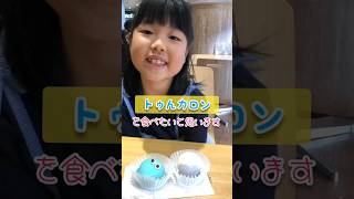 小学生が食レポやってみた #チェリーランドチャンネル #トゥんカロン#韓国お菓子 #かずは