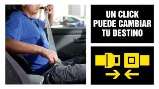 Campaña Cinturón de Seguridad /1