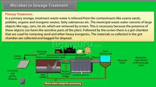 Sewage treatment using microbes.