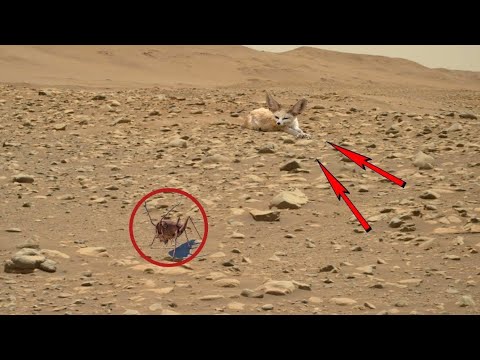 Mars New Rover Perseverance Footage 4k Nasa Space Video Sol 126 Youtube