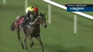 莫雷拉 (J Moreira) - 賽日八匹坐騎全勝創做世界紀錄 (Eight Winners from Eight Rides) - 2013/09/06