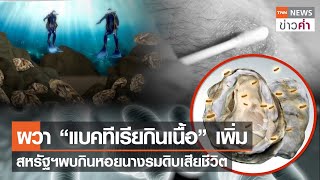 ผวา! พบ “แบคทีเรียกินเนื้อ” เพิ่ม ชาวอเมริกันกินหอยนางรมดิบเสียชีวิต | TNN ข่าวค่ำ | 14 ก.ย. 66