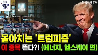 [한경글로벌마켓] 트럼프 2.0 개막 변동성 장세 속 눈여겨봐야 할 섹터는? (에너지, 헬스케어 편)