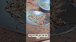 ଶାଶୁ ମା 🥰🥰 #song #newsong #music #love #funny #newmusic #odisha #comedy #shorts #short #shortvideo