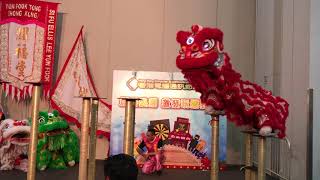 潤福堂(香港)國術龍獅總會-電腦節表演