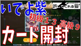 【ラグオリ】カード帖開封の儀＃０１！初級１３冊高級９冊、果たして大当たりカードは引けるのか？！【Ragnarok Origin】