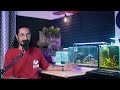 best aquarium lights planted aquarium lights review hindi u0026 urdu am aquarist