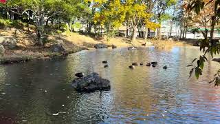 浜松城公園・・・紅葉が美しかった