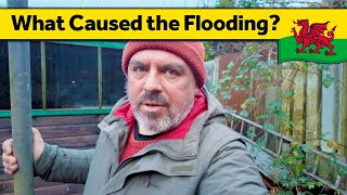 160. Homestead after Storm Bert - Living Alone in Wales (November 2024)