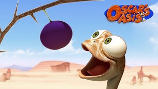 Will Oscar Get His Favourite Fruit? | Oscar's Oasis | Funny Cartoons for Kids