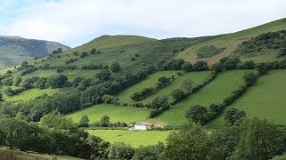 Free Permit -Fishing Holidays on the River Dyfi in Mid Wales| Ty Mawddwy