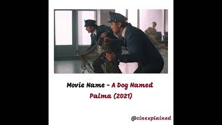 A Dog Named Palma Movie Explained Part 8