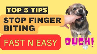 Top 5 Tips To Help With German Shepherd Puppy Teething (Stop Biting Easy)