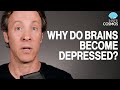 Ep 48: Why do brains become depressed? | INNER COSMOS WITH DAVID EAGLEMAN