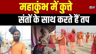 Mahakumbh 2025 Naga Sadhu: नागा संन्यासी और उनके पालतू कुत्ते, कुंभ में बने आकर्षण का केंद्र