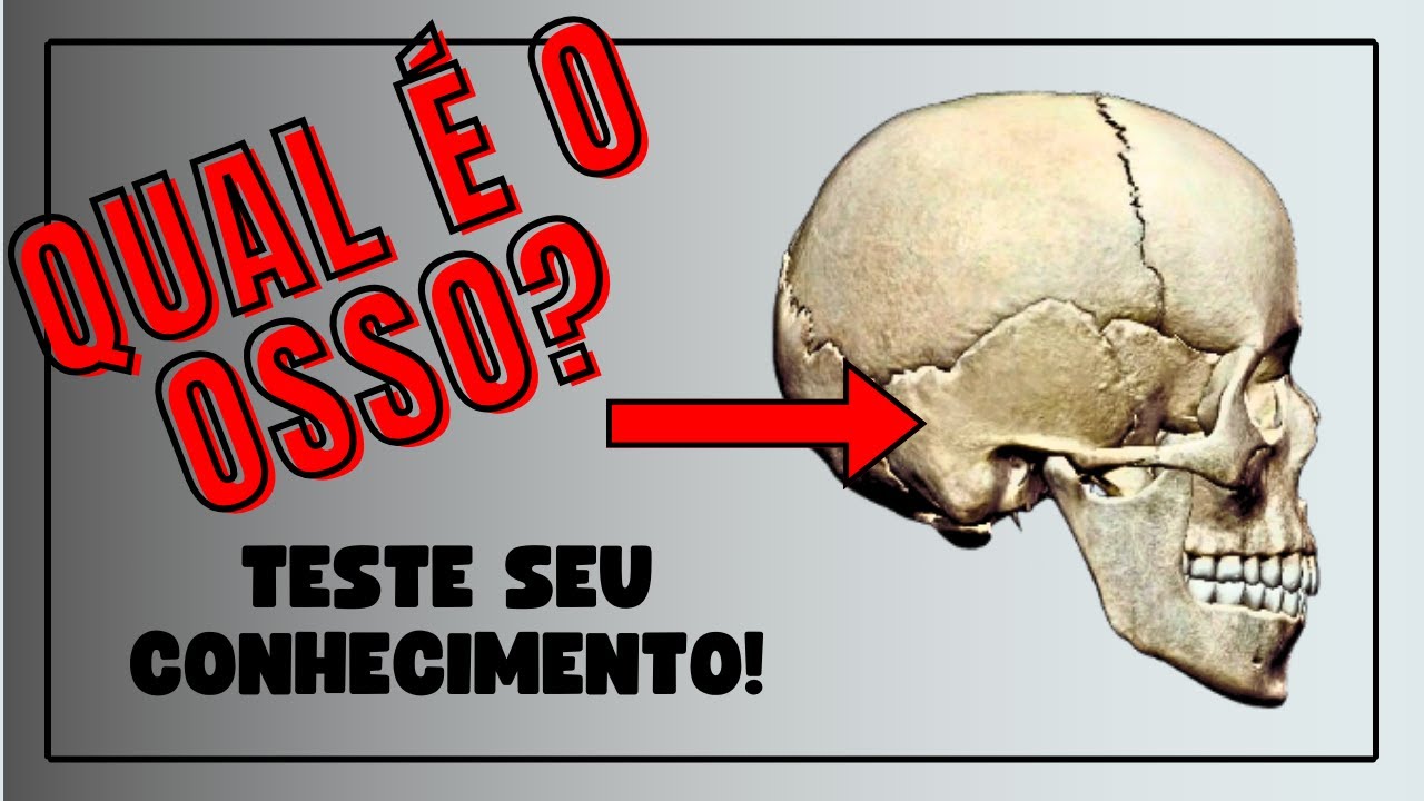 Quiz Anatomia Ossos Do Crânio Nazaedu