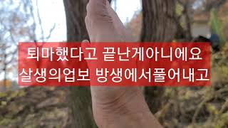 (퇴마영상)  전국에11군데에서 퇴마를해도 안낳는이유를 알겠어요