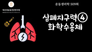 【509회】 심폐지구력 ④ 화학수용기 (교재 p57), Chemoreceptor reflex