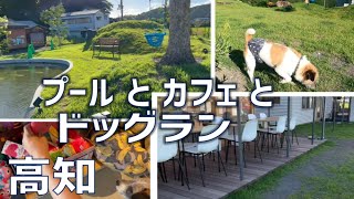 四万十のプール付きドッグラン\u0026カフェ最高♪/貸し切りでクン活三昧/ワンライフ/高知/ジャックラッセルテリア/チップ/5歳