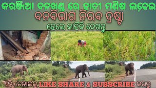 ଶିମିଳିପାଳ ଅଭୟାରଣ୍ୟର କାଳିଆଣି ଠାରେ ହାତୀ ଉପଦ୍ରଵ, ଭାଙ୍ଗିଲେ ଜାହିରା ଶାଳ,ଲୋକେ ଆତଙ୍କିତ#panchpidhkhabar