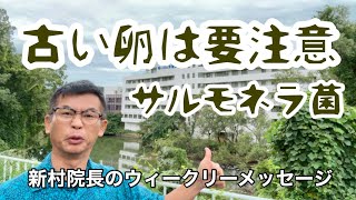 古い卵に気をつけて！サルモネラ菌 新村院長のウィークリーメッセージ第192弾