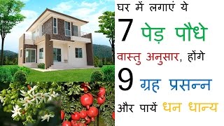 घर में लगाएं ये 7 पेड़ पौधे वास्तु अनुसार, होंगे 9 ग्रह प्रसन्न और पायें धन धान्य