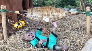 Monkey Bon wants his father to change the hammock to a new one