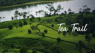 Tea Trail | #GetGoing | Kerala 365 | Kerala Tourism