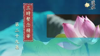 三時繫念精華 第29集【賓頭盧頗羅墮】淨空老法師主講