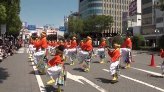 紀風べっぴん衆　JR和歌山駅前演舞場