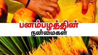 பனம்பழத்தின் நன்மைகள் | Palm Fruit Benefits