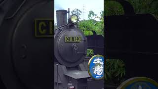 Horn : Steam Loco TAIJU on the TOBU Line, Japan, Oct 2022