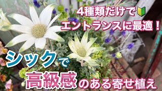 アンティークでかっこいい大人の寄せ植えを作ってみた！【寄せ植え道場】