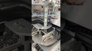 Nylon Pyramid Tea Packing Machine