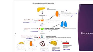 Pathophysiology - Part 3