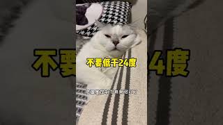 我家猫也爱吹空调，但尽量还是控制#萌宠出道计划 #科学养宠攻略   抖音