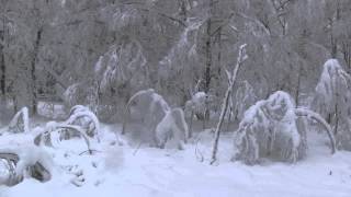 ついにやってきた爆弾低気圧