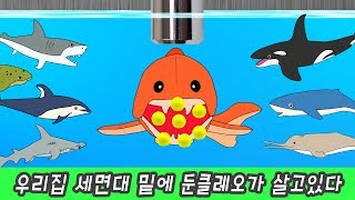 한국어ㅣ우리집 세면대 밑에 둔클레오가 살고 있다. 어린이 동물 만화, 상어와 고래 이름ㅣ꼬꼬스토이