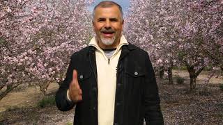 Pastor Israel shares about the prophetic significance of the blossoming almond trees in Israel.