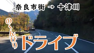 【十津川旅part1】谷瀬の吊り橋に向かうよ！