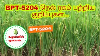 BPT-5204 நெல் ரகம் பற்றிய குறிப்புகள்...