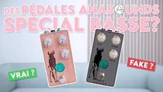 PÉDALES de GUITARE à la BASSE ? On vérifie ça avec @AnasoundsPedals...