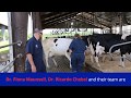 Dairy Cattle Research at the University of Florida College of Veterinary Medicine