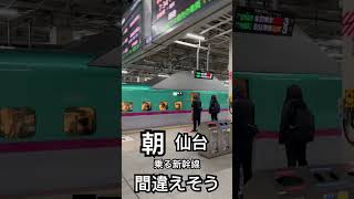 【JR東北新幹線135杯目】終電後『東京◀︎仙台』乗る新幹線間違えたら大変そう！取材拒否 全駅制覇 東京駅で深夜大量にマックカフェ食べてみた 1130